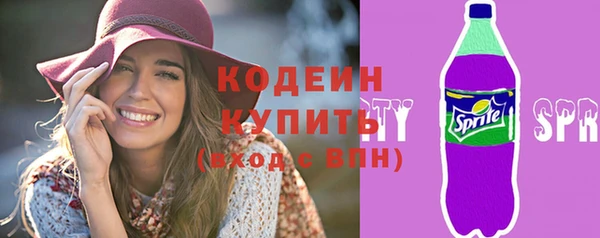 твердый Иннополис
