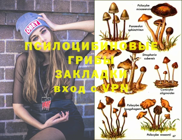твердый Иннополис