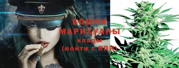 твердый Иннополис